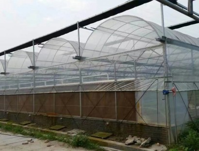 連棟溫室