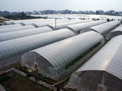 單體拱棚溫室